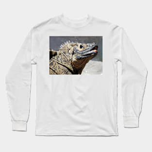 Sailfin Lizard Long Sleeve T-Shirt